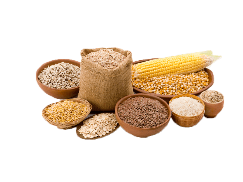Grains