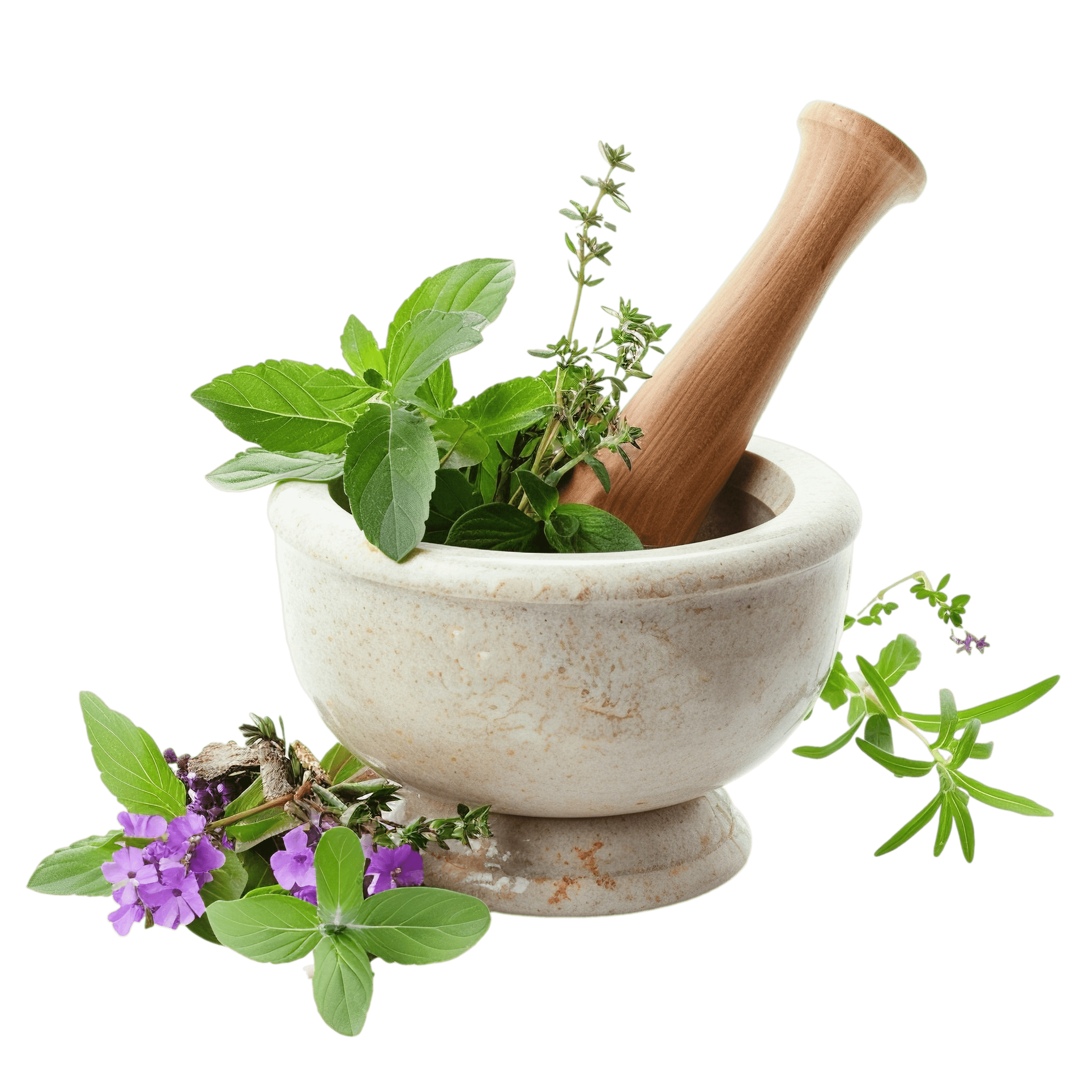 Herbs