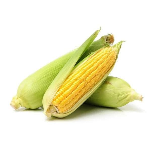Corn On The Cob Unpeeled  (1ct)