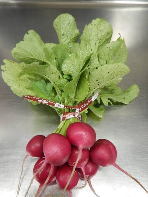 Radish Bunch (each)