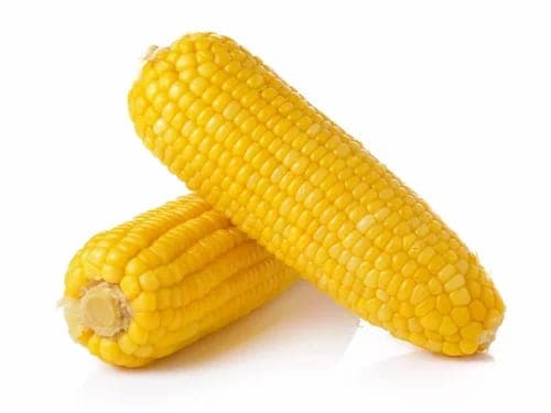 Corn Sweet  (1ct)