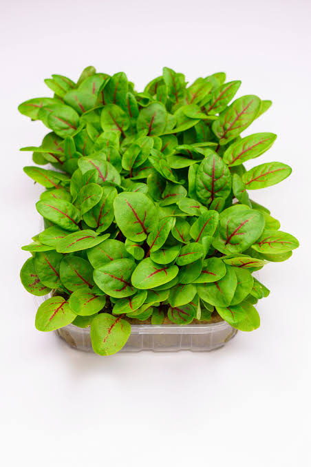 Product thumbnail 2