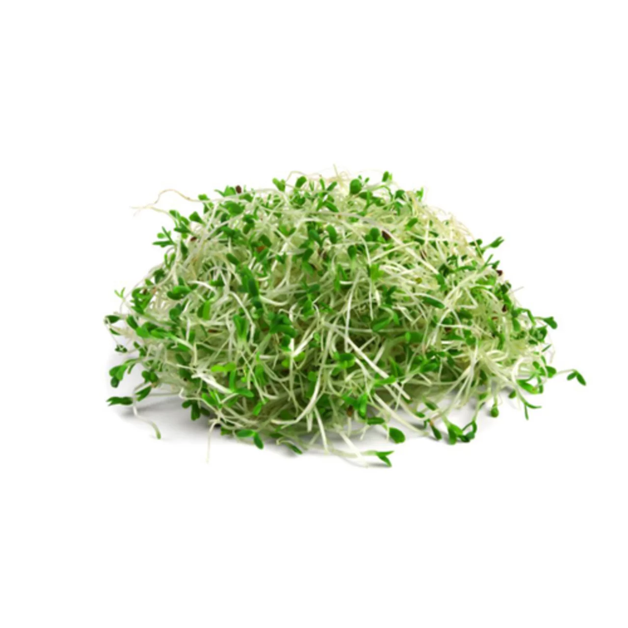 Alfalfa Sprouts 140 G
