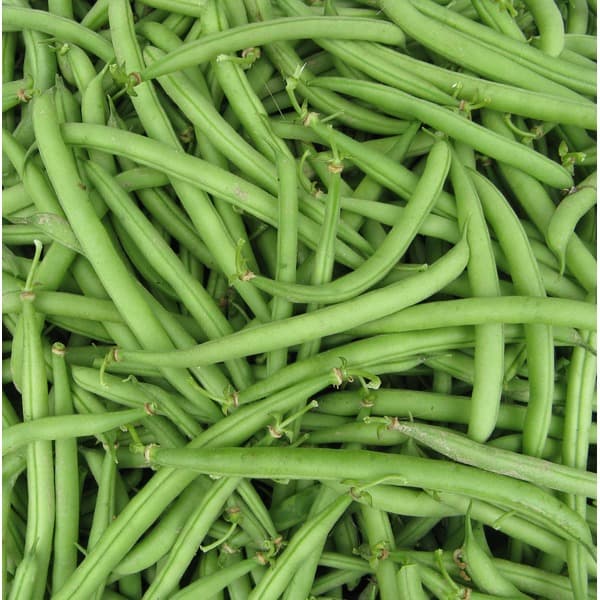 French Green Beans