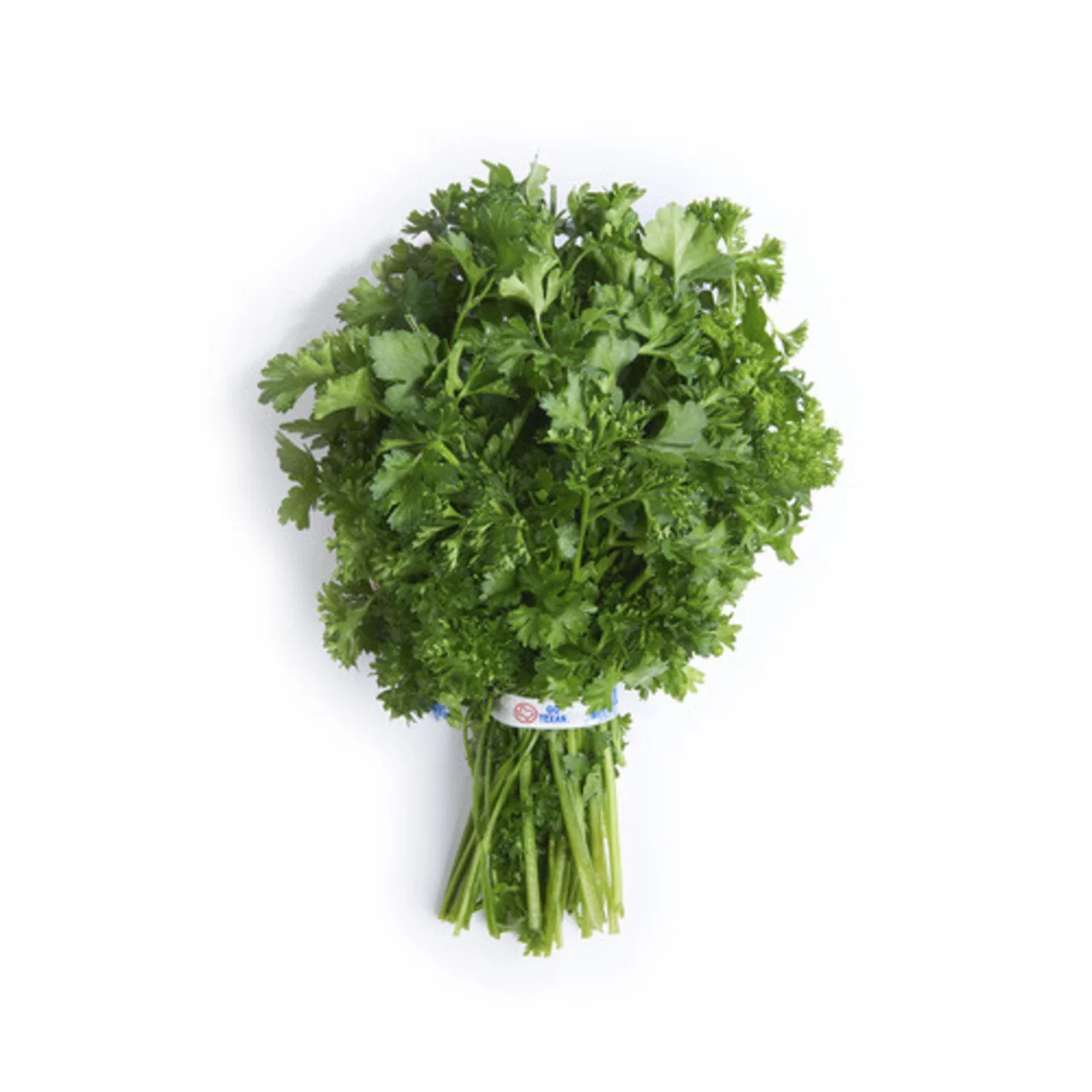 Curly Parsley (1ct)