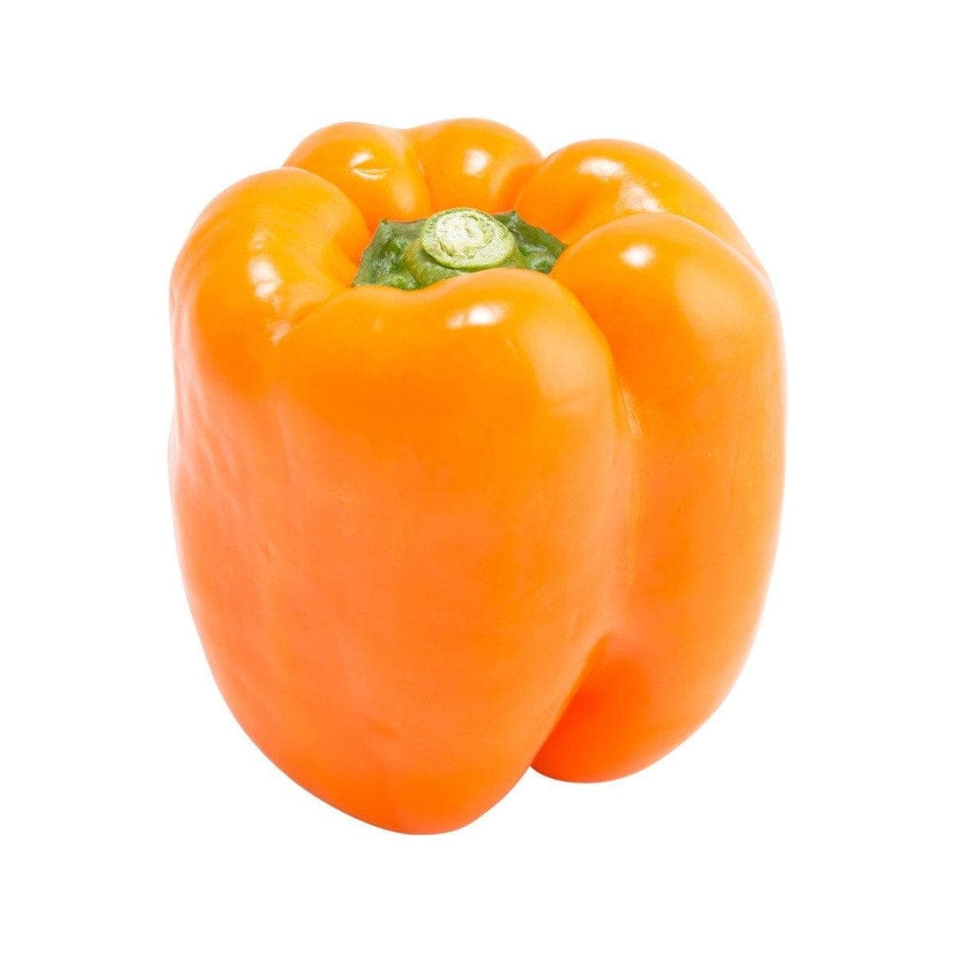 Orange Pepper Extra Large