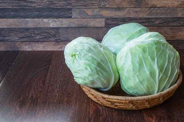 Flat Cabbage (each)
